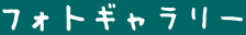 フォトギャラリー