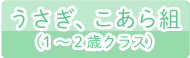 うさぎ、こあら組（1～2歳クラス）の一日の流れ